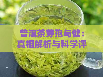 普洱茶芽孢与健：真相解析与科学评价