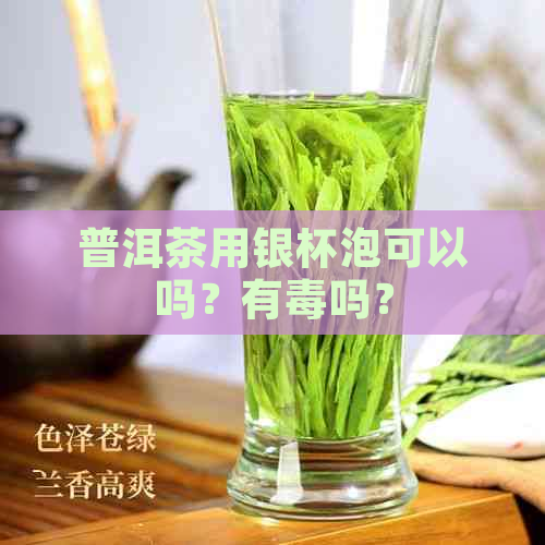 普洱茶用银杯泡可以吗？有吗？