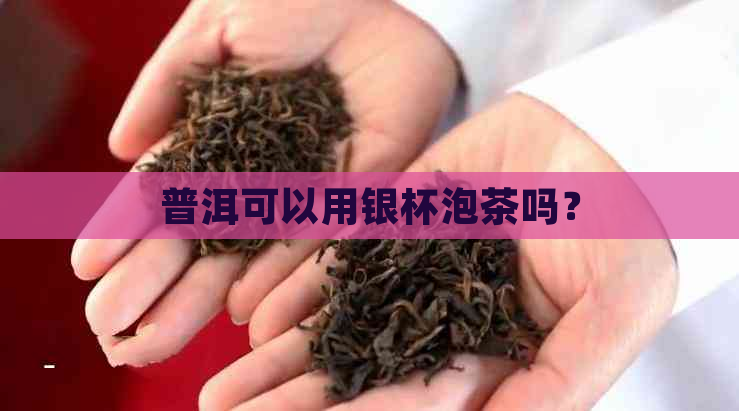 普洱可以用银杯泡茶吗？