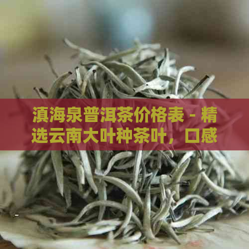 滇海泉普洱茶价格表 - 精选云南大叶种茶叶，口感醇厚，回生津。