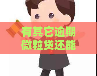 有其它逾期微粒贷还能借出来不还款吗？