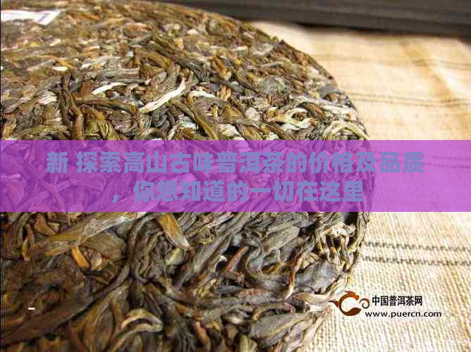 新 探索高山古味普洱茶的价格及品质，你想知道的一切在这里