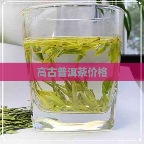 高古普洱茶价格