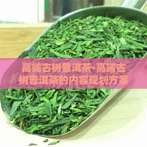 高端古树普洱茶-高端古树普洱茶的内容规划方案