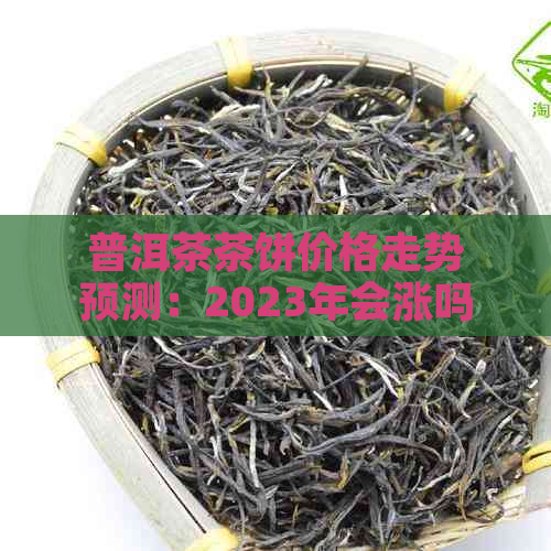 普洱茶茶饼价格走势预测：2023年会涨吗？