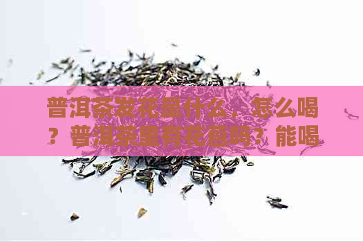 普洱茶发花是什么，怎么喝？普洱茶里有花苞吗？能喝吗？