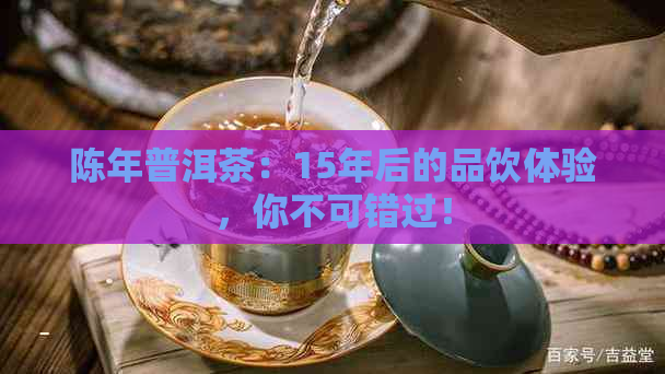 陈年普洱茶：15年后的品饮体验，你不可错过！