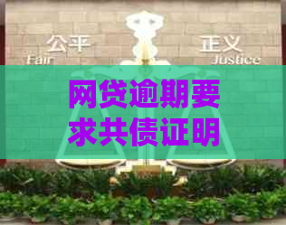 网贷逾期要求共债证明怎么写：有效撰写指南