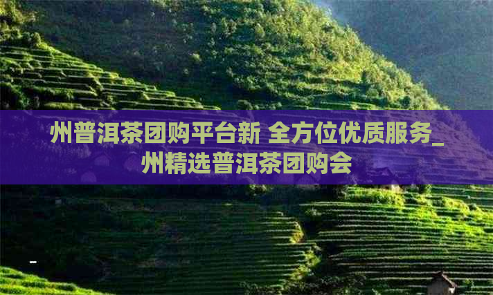 州普洱茶团购平台新 全方位优质服务_州精选普洱茶团购会