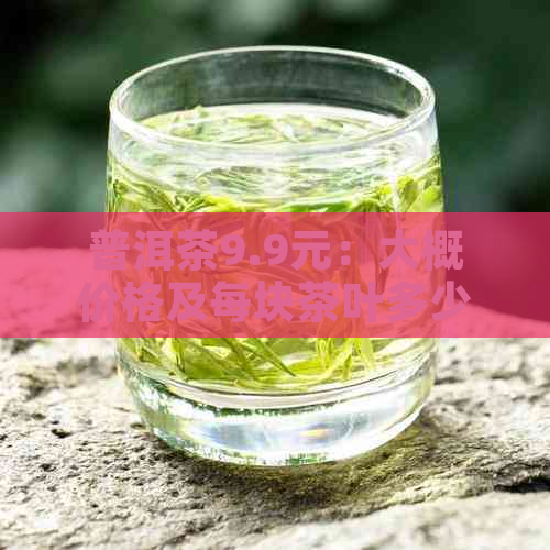 普洱茶9.9元：大概价格及每块茶叶多少钱？