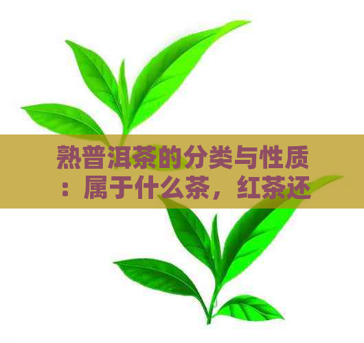 熟普洱茶的分类与性质：属于什么茶，红茶还是绿茶？