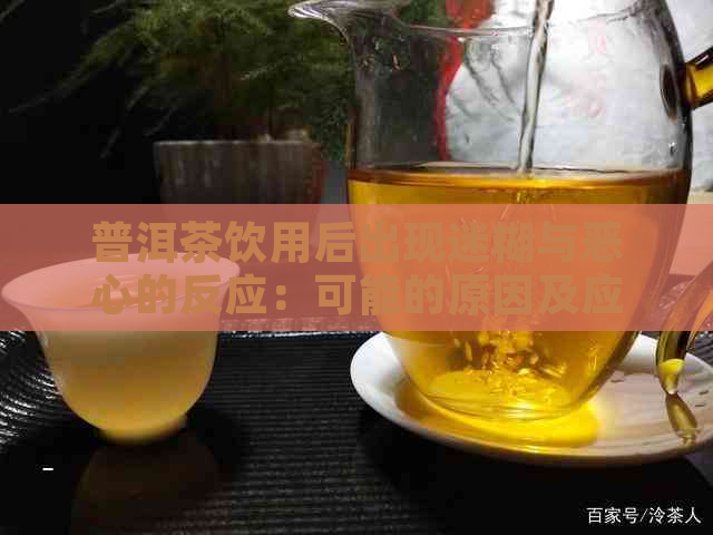 普洱茶饮用后出现迷糊与恶心的反应：可能的原因及应对策略