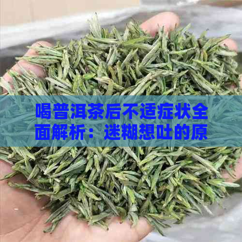 喝普洱茶后不适症状全面解析：迷糊想吐的原因及解决方法