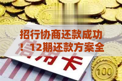 招行协商还款成功！12期还款方案全面解析，了解如何更大限度减轻负担