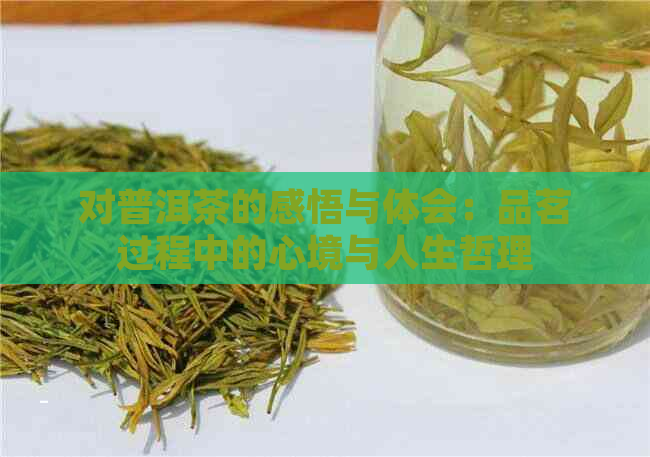 对普洱茶的感悟与体会：品茗过程中的心境与人生哲理