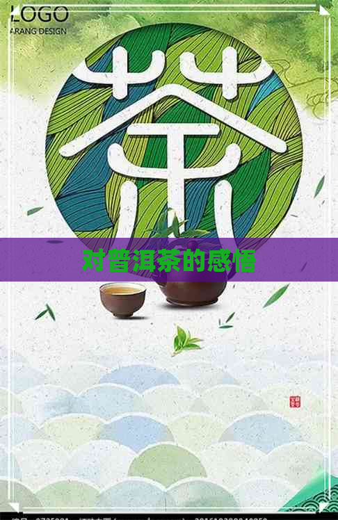 对普洱茶的感悟