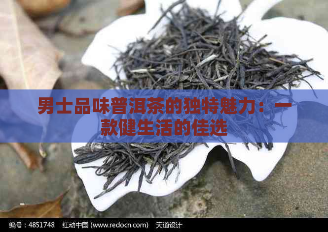 男士品味普洱茶的独特魅力：一款健生活的佳选