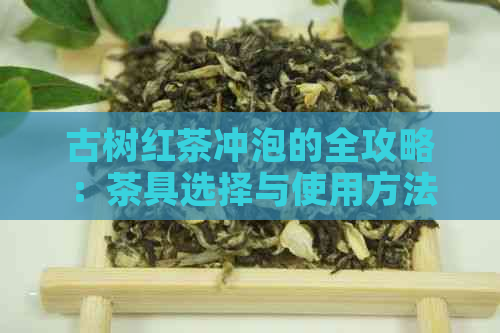 古树红茶冲泡的全攻略：茶具选择与使用方法