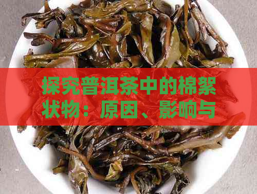 探究普洱茶中的棉絮状物：原因、影响与解决方法