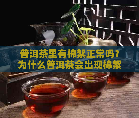 普洱茶里有棉絮正常吗？为什么普洱茶会出现棉絮状物质？