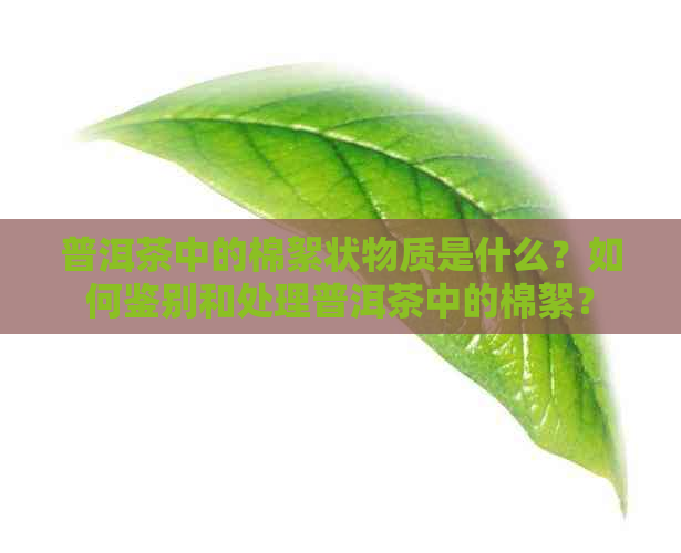 普洱茶中的棉絮状物质是什么？如何鉴别和处理普洱茶中的棉絮？