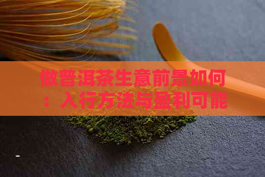 做普洱茶生意前景如何：入行方法与盈利可能性分析