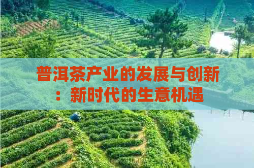 普洱茶产业的发展与创新：新时代的生意机遇