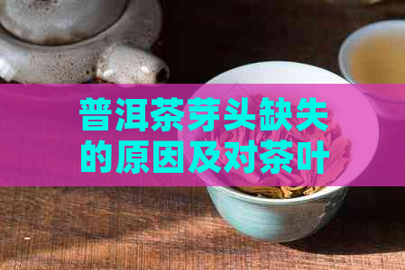 普洱茶芽头缺失的原因及对茶叶品质的影响