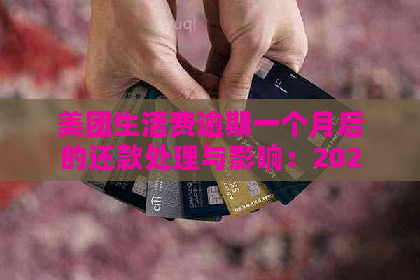 美团生活费逾期一个月后的还款处理与影响：2020新解析