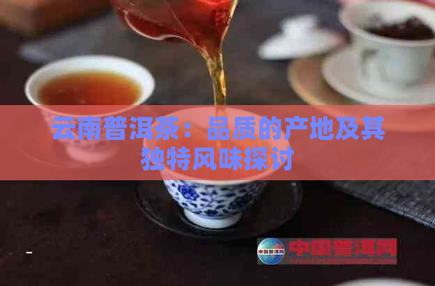 云南普洱茶：品质的产地及其独特风味探讨