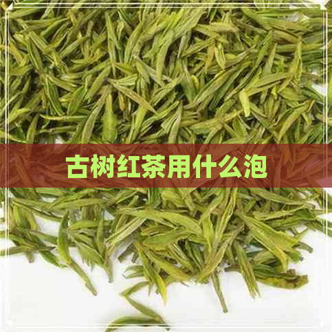 古树红茶用什么泡