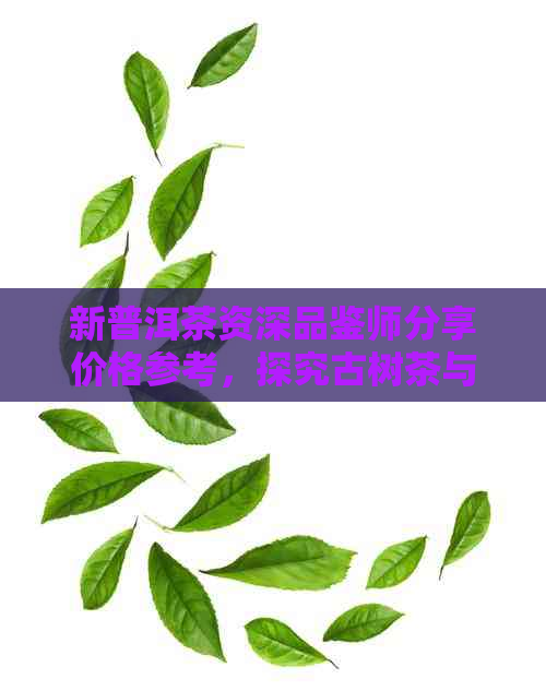 新普洱茶资深品鉴师分享价格参考，探究古树茶与陈年普洱的性价比之路