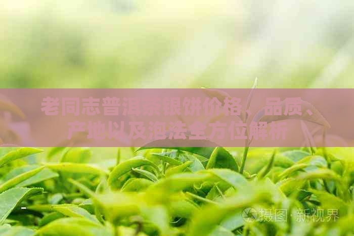 老同志普洱茶银饼价格、品质、产地以及泡法全方位解析