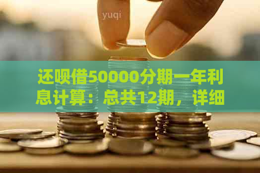 还款借50000分期一年利息计算：总共12期，详细费用解析