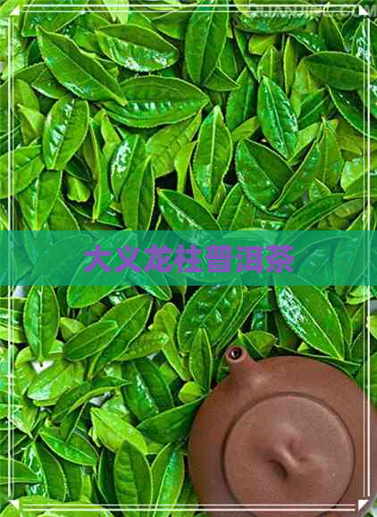 大义龙柱普洱茶