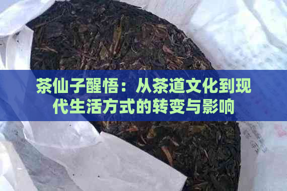 茶仙子醒悟：从茶道文化到现代生活方式的转变与影响