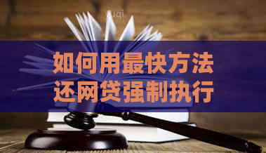 如何用最快方法还网贷强制执行款项？