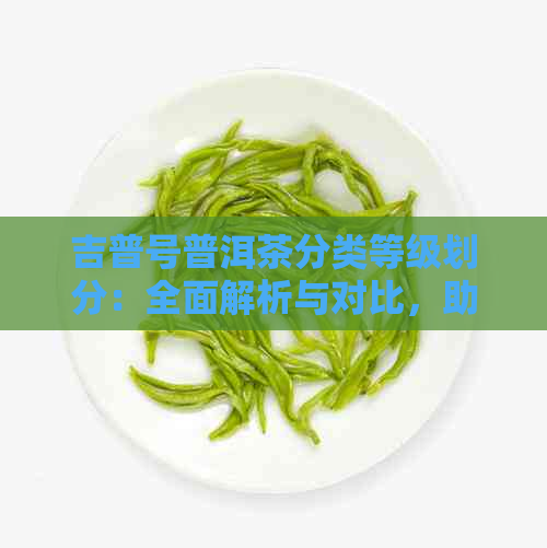 吉普号普洱茶分类等级划分：全面解析与对比，助您轻松选购高品质茶品