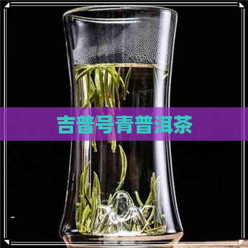 吉普号青普洱茶