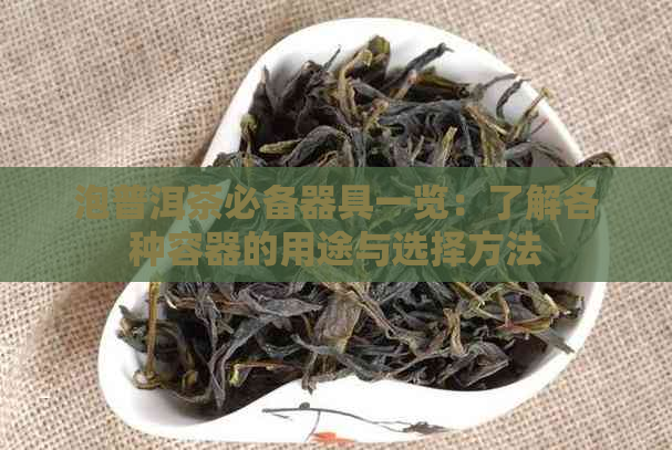 泡普洱茶必备器具一览：了解各种容器的用途与选择方法