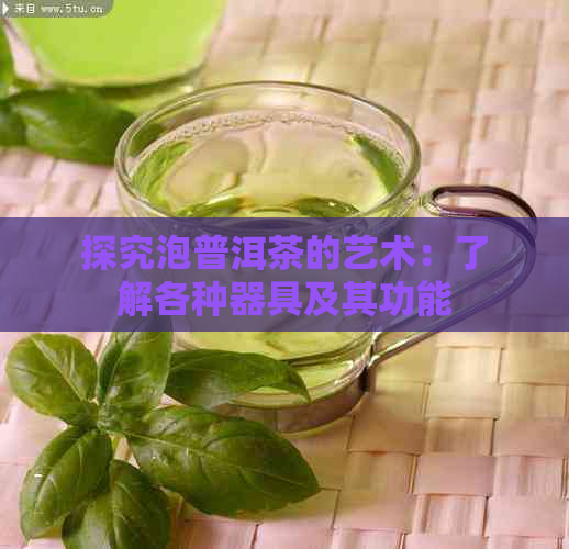 探究泡普洱茶的艺术：了解各种器具及其功能