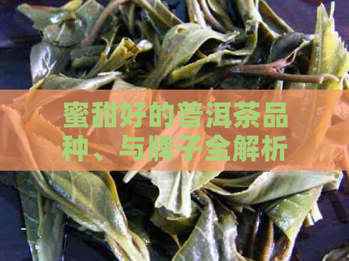 蜜甜好的普洱茶品种、与牌子全解析：哪些普洱茶具有独特的蜜甜口感？