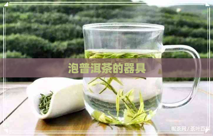 泡普洱茶的器具