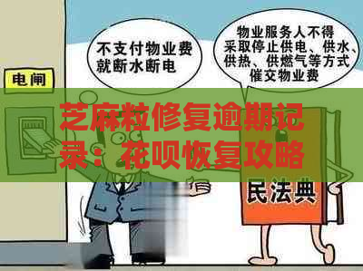 芝麻粒修复逾期记录：花呗恢复攻略与关键步骤解析