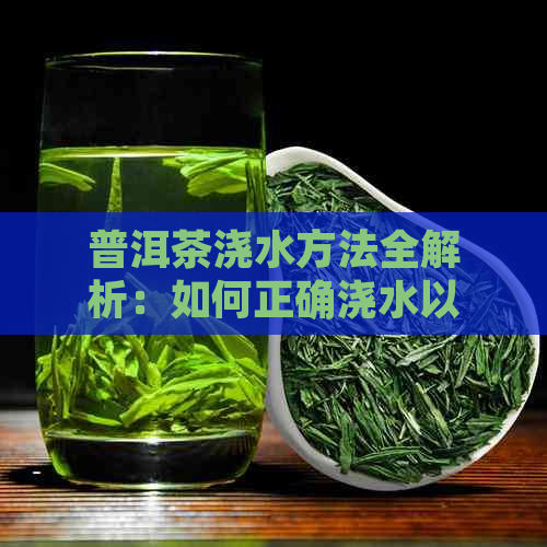 普洱茶浇水方法全解析：如何正确浇水以及浇水的时机和频率