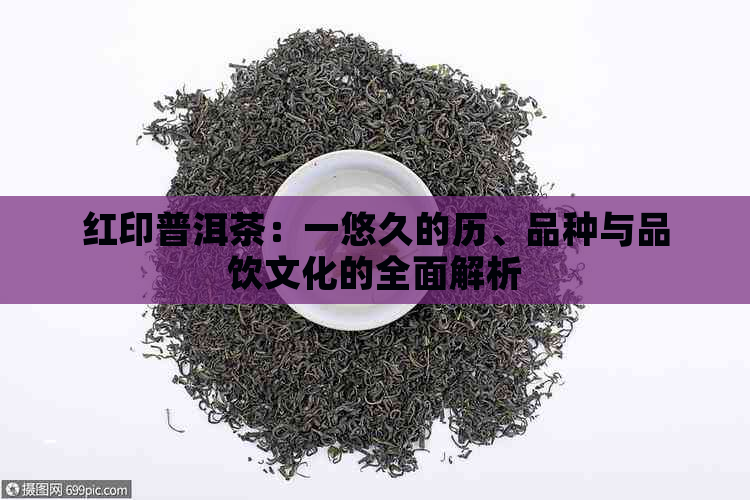 红印普洱茶：一悠久的历、品种与品饮文化的全面解析