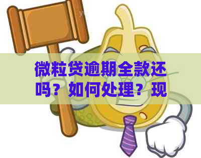 微粒贷逾期全款还吗？如何处理？现在可以借款吗？