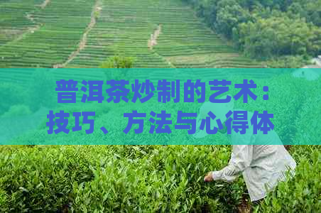 普洱茶炒制的艺术：技巧、方法与心得体会