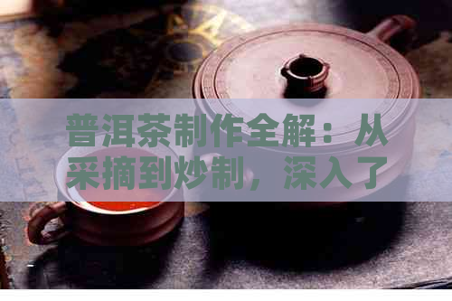 普洱茶制作全解：从采摘到炒制，深入了解普洱茶的工艺过程