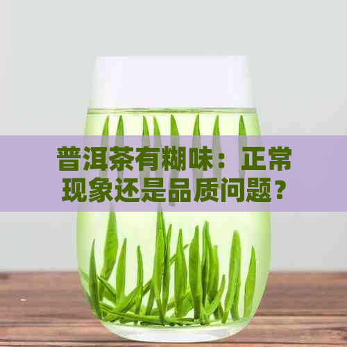 普洱茶有糊味：正常现象还是品质问题？